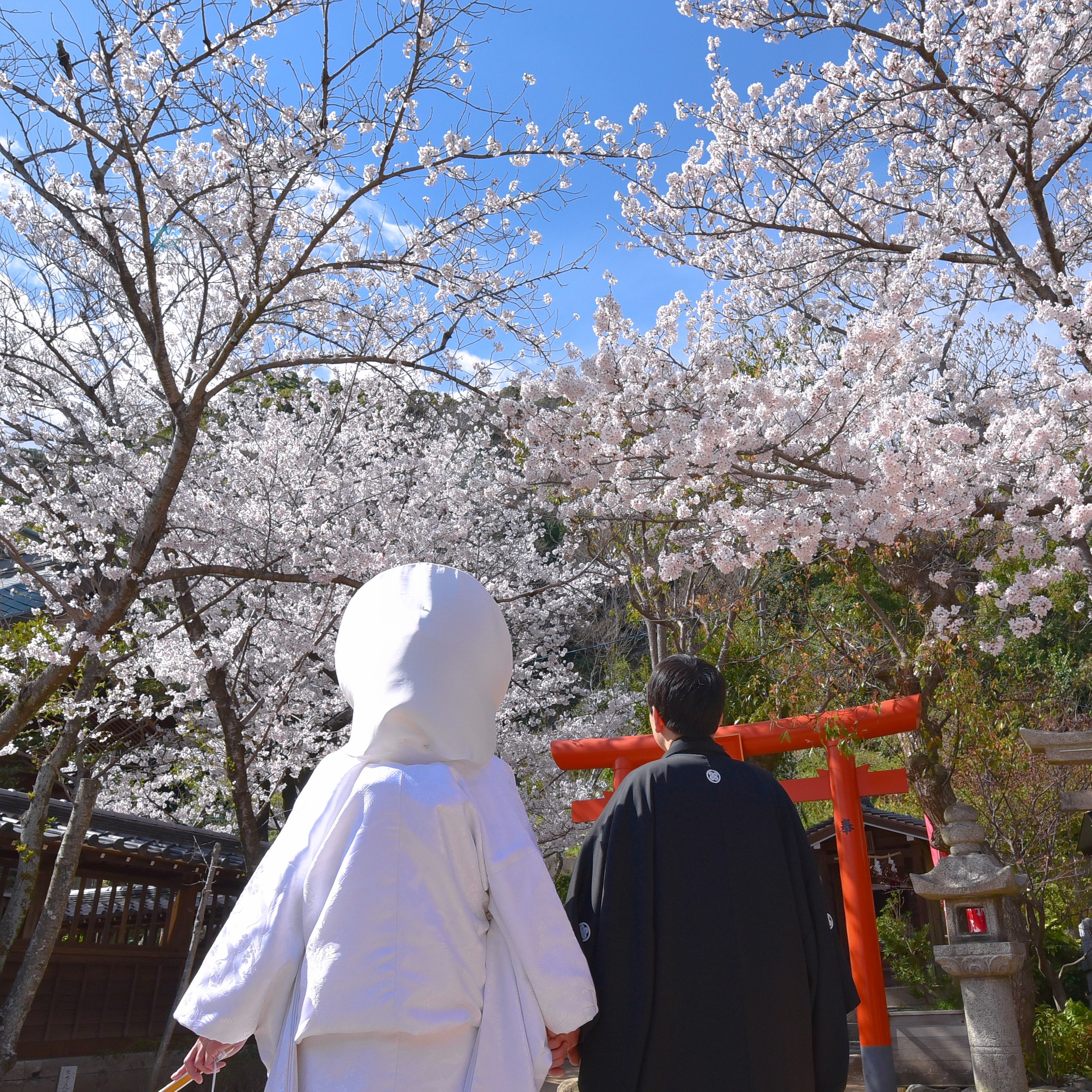 天空の杜の風景