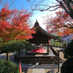 天空の杜の風景1