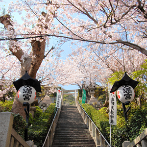 天空の杜の風景6