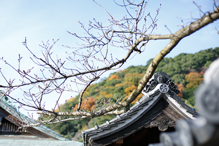 北野天満神社景観2